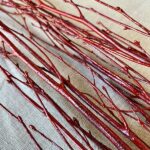 Natural Red White Birch Twigs 3-4 Foot Branches Floor Vase Tall Branch - Image 8