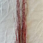 Natural Red White Birch Twigs 3-4 Foot Branches Floor Vase Tall Branch - Image 7