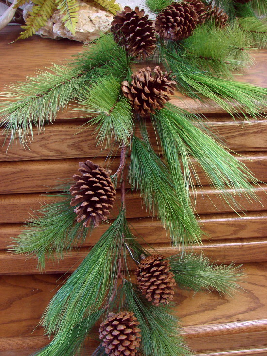 5 Xtra Large Pine Cones For Crafts or Decorations