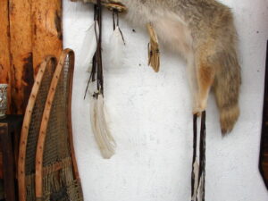 Authentic Native American Indian Arrow Quiver Navajo Real Grey Fox Pelt Feather