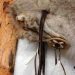 Authentic Native American Indian Navajo Real Fox Pelt Feather Arrow Quiver - Image 2
