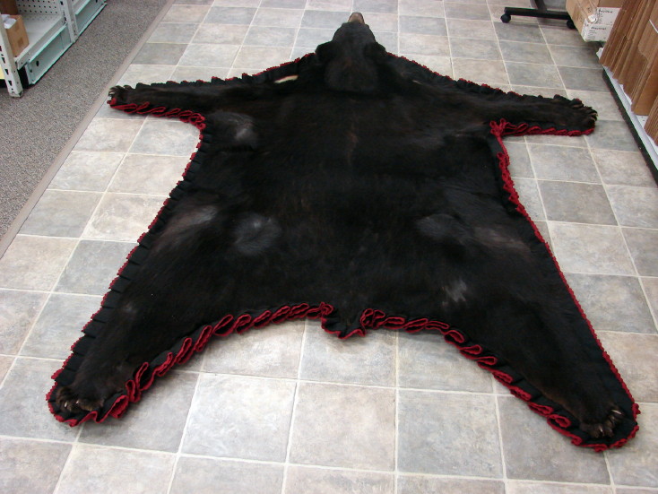 Brand New Real Black Bear Skin Rug Huge Summer Pelt Cranberry Double Felt Moose R Us Com Log Cabin Decor