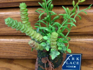 Realistic Succulent Small Hanging Wall Pocket Planter Bark Moss