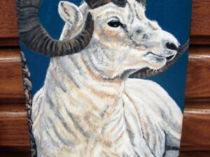 Hand Painted Big Horn Sheep Painting Picture Pat King Original