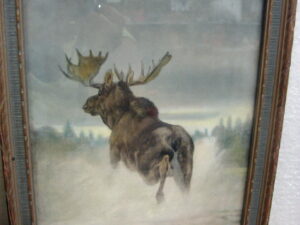 Vintage Framed Moose Picture C.A. Co 1874 Zesbaugh's Art Store