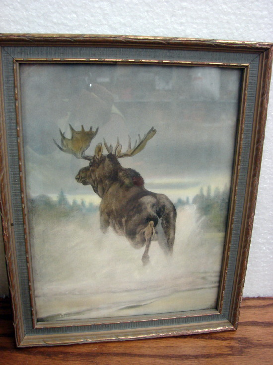 Vintage Framed Moose Picture C.A. Co 1874 Zesbaugh&#8217;s Art Store, Moose-R-Us.Com Log Cabin Decor