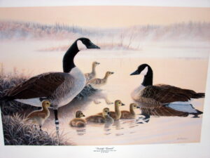 Jim Kasper Peaceful Renewal Canadian Goose Family Print Artwork 1990 Geese Unlimited
