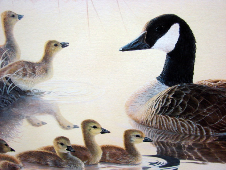 Jim Kasper Peaceful Renewal Canadian Goose Family Print Artwork 1990 Geese Unlimited, Moose-R-Us.Com Log Cabin Decor