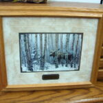 Steven Lyman Artwork A Walk in the Woods Moose Birch Trees Framed Matted Picture - Image 2