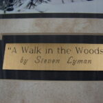 Steven Lyman Artwork A Walk in the Woods Moose Birch Trees Framed Matted Picture - Image 3