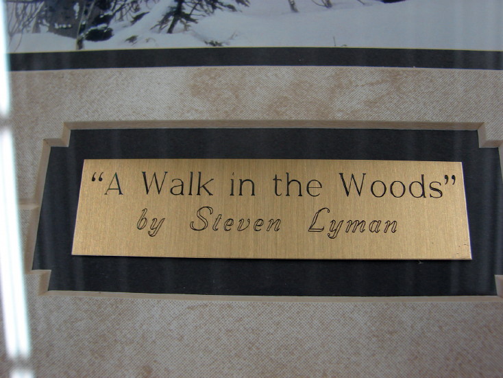 Steven Lyman Artwork A Walk in the Woods Moose Birch Trees Framed Matted Picture, Moose-R-Us.Com Log Cabin Decor