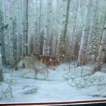 Mark Daehlin Artwork Rare Watched Wolf Birch Trees Framed Matted Picture