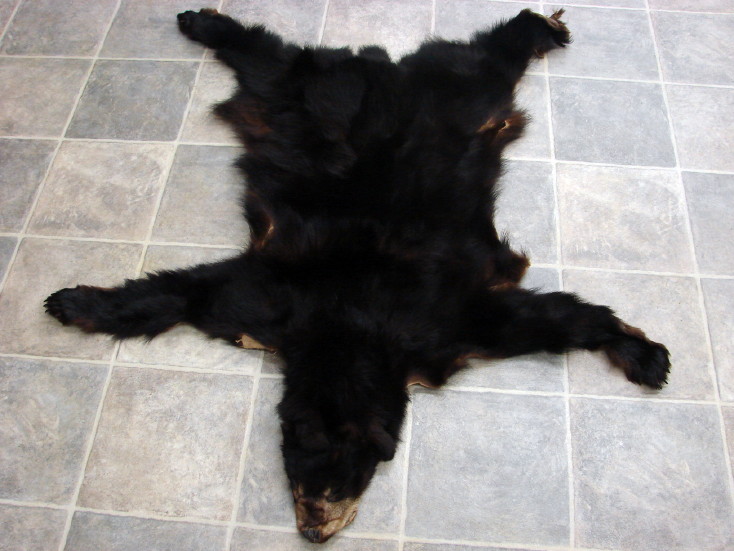 Real Black Bear Cub Soft Taxidermy Hide Pelt Fur Cased Head Pads Claws, Moose-R-Us.Com Log Cabin Decor