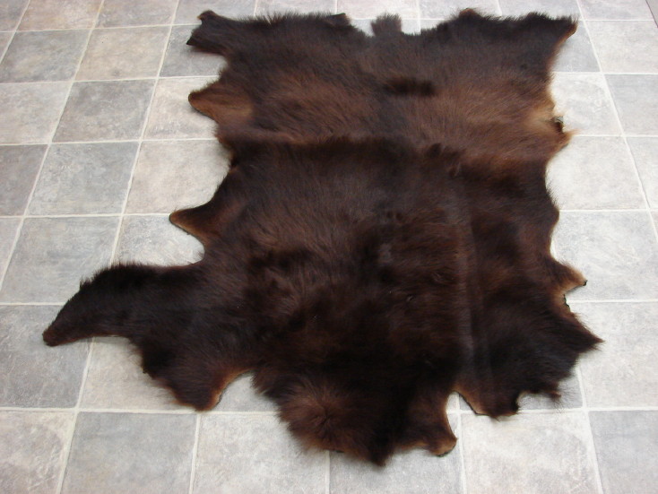Real Black Bear Cinnamon Thick Taxidermy Hide Pelt Fur Craft Hanger, Moose-R-Us.Com Log Cabin Decor