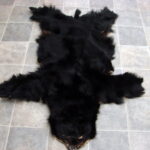 Real Black Bear Soft Shiny Taxidermy Hide Pelt Fur Craft Hanger