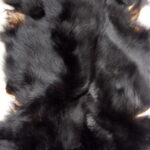 Real Black Bear Soft Shiny Taxidermy Hide Pelt Fur Craft Hanger - Image 3