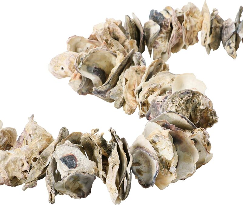 Real Oyster Shell Garland Ocean Seashore Shells Beach Theme Wedding Decor, Moose-R-Us.Com Log Cabin Decor