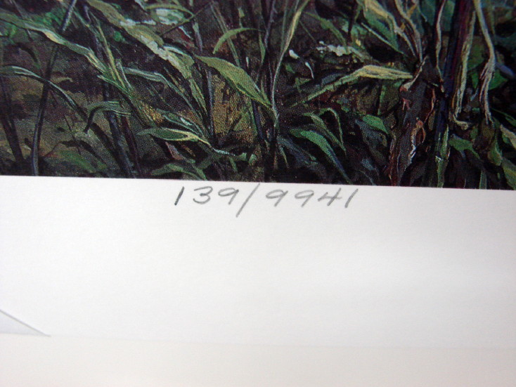 Numbered Gary Gandy Native American White Buffalo Print Miracle 1994 WI, Moose-R-Us.Com Log Cabin Decor