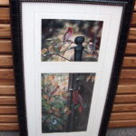 Double Print The Gathering Rick Kelley Backyard Song Birds Framed Matted Artwork - Image 2