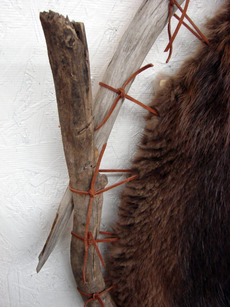 Taxidermy Tanned Huge Beaver Pelt on Driftwood Hoop Wall Hanging, Moose-R-Us.Com Log Cabin Decor