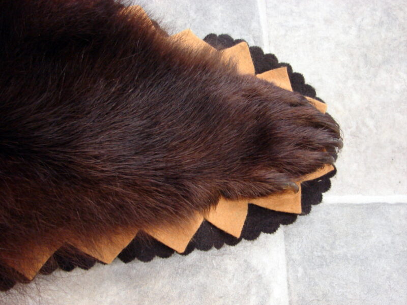 Real Black Bear Rug Taxidermy Hide Pelt Fur Cinnamon Brown Phase Gold Black Felt, Moose-R-Us.Com Log Cabin Decor
