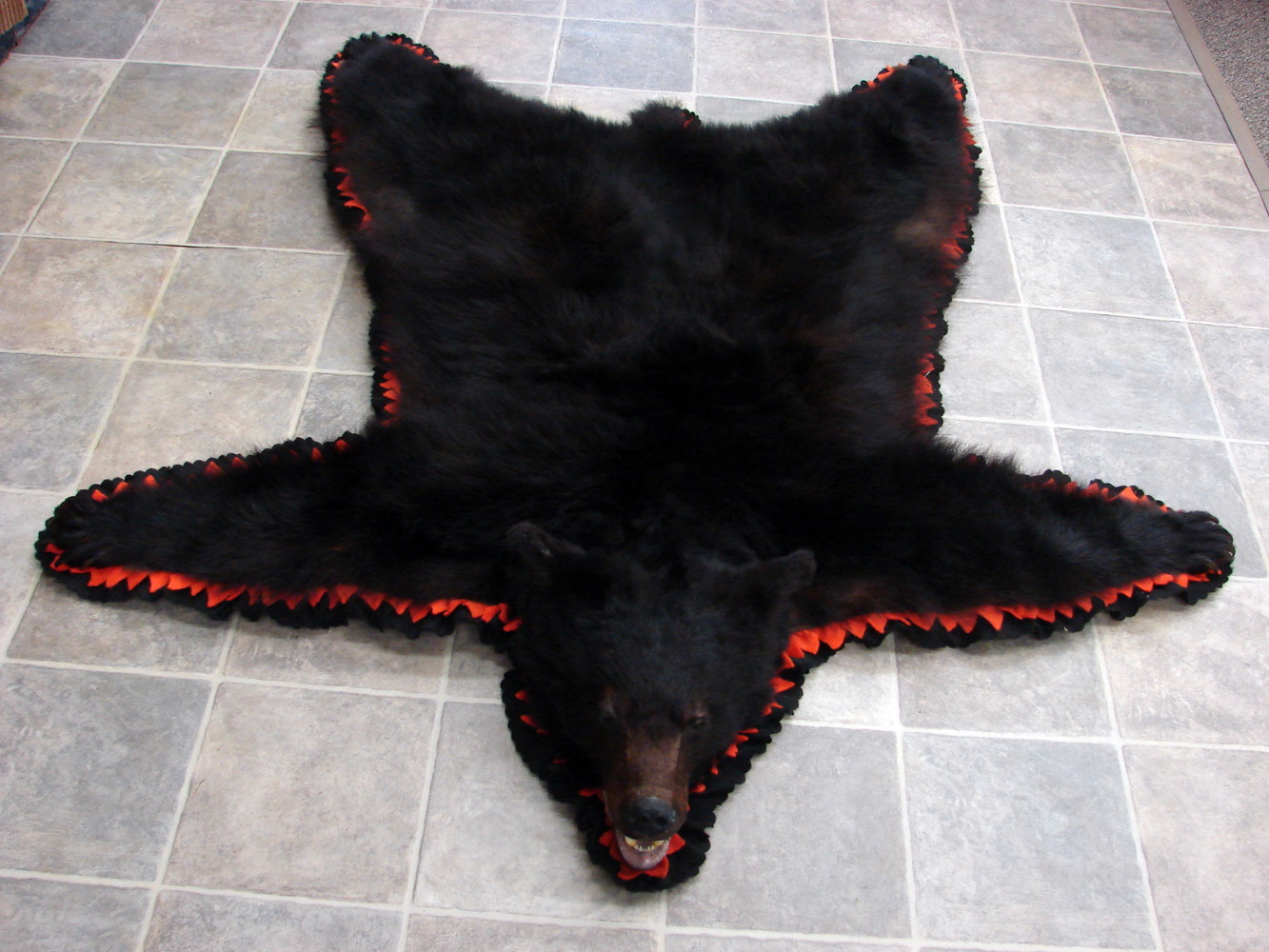 Real Black Bear Rug Taxidermy Hide Pelt Fur Black Hunters Orange Felt
