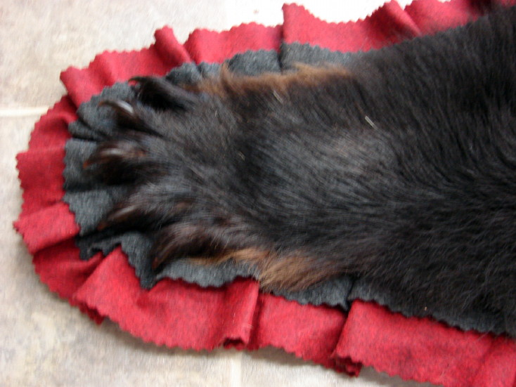 Newer Black Bear Skin Rug Cranberry Red Black Double Felt, Moose-R-Us.Com Log Cabin Decor
