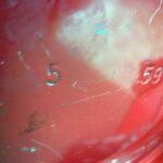 Vintage 1959 Coleman 200A Red Single Mantle Camping Lantern Complete PYREX Globe 05/59 - Image 10