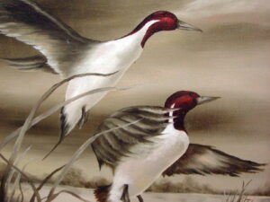 Vintage Original Oil Painting Canvas Back Ducks Cheryle Sievers '77 Framed
