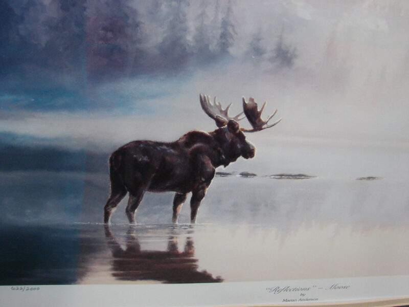 Marian Anderson Reflections Framed Matted Moose Signed Numbered Artwork, Moose-R-Us.Com Log Cabin Decor