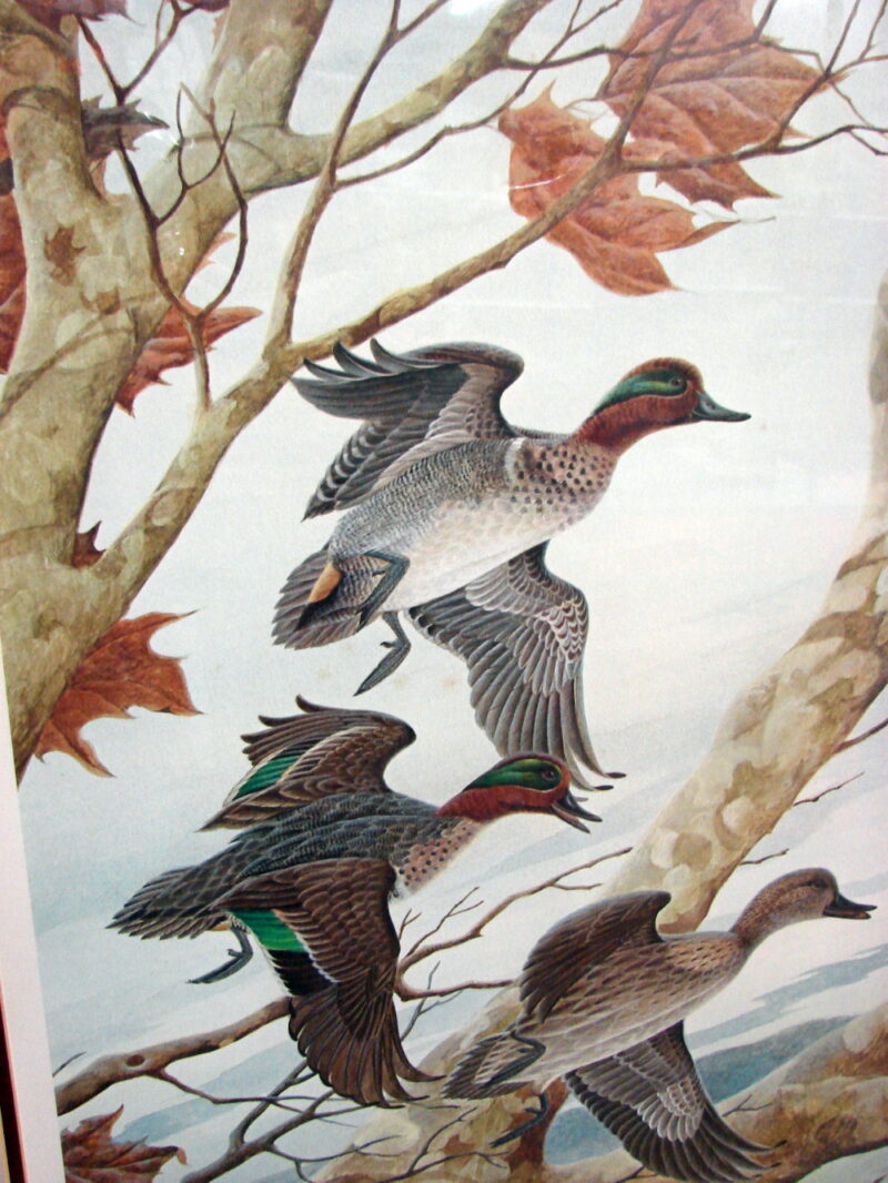 Vintage Ducks Unlimited 1989 John Ruthven Green-Winged Teal Print, Moose-R-Us.Com Log Cabin Decor