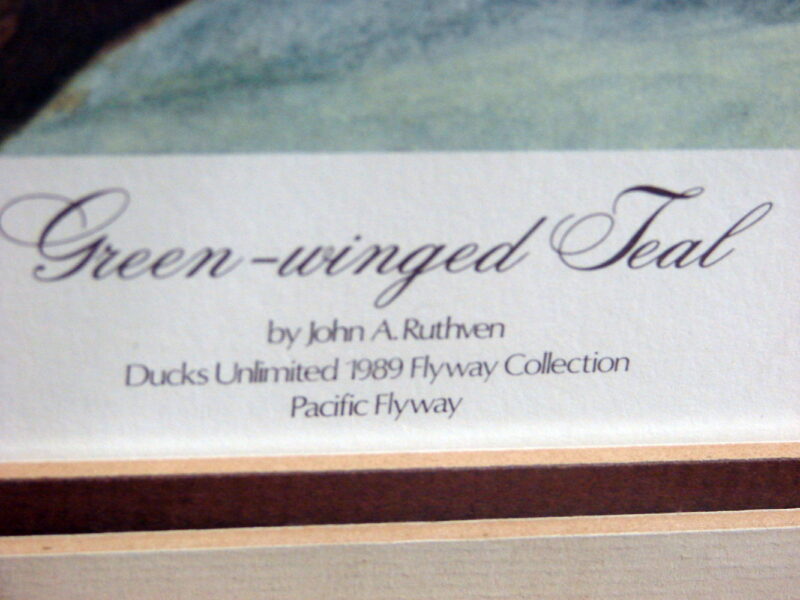 Vintage Ducks Unlimited 1989 John Ruthven Green-Winged Teal Print, Moose-R-Us.Com Log Cabin Decor