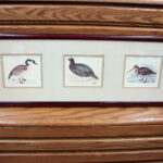 Vintage Wild Game Bird Horizontal Framed Matted Print Drawing