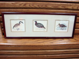 Vintage Wild Game Bird Horizontal Framed Matted Print Drawing