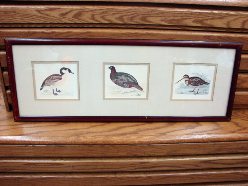 Vintage Wild Game Bird Horizontal Framed Matted Print Drawing, Moose-R-Us.Com Log Cabin Decor