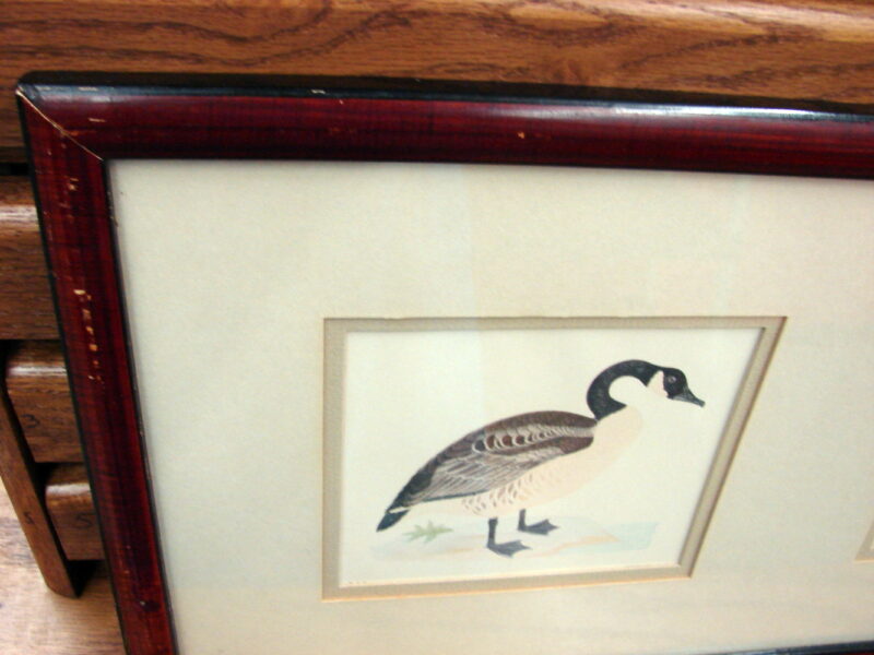 Vintage Wild Game Bird Horizontal Framed Matted Print Drawing, Moose-R-Us.Com Log Cabin Decor