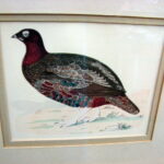 Vintage Wild Game Bird Horizontal Framed Matted Print Drawing - Image 3