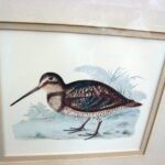 Vintage Wild Game Bird Horizontal Framed Matted Print Drawing - Image 4