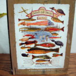Vintage Duluth Fish Decoy DFD David Perkins Folk Art Book Signed