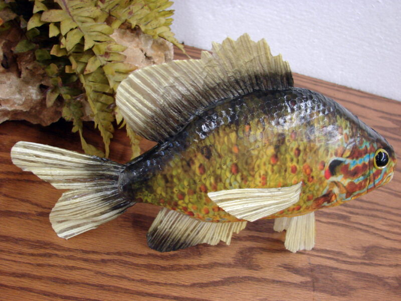 Pumpkin Seed Sunfish Display Craft Styrofoam Vinyl Replica Faux Pan Fish, Moose-R-Us.Com Log Cabin Decor