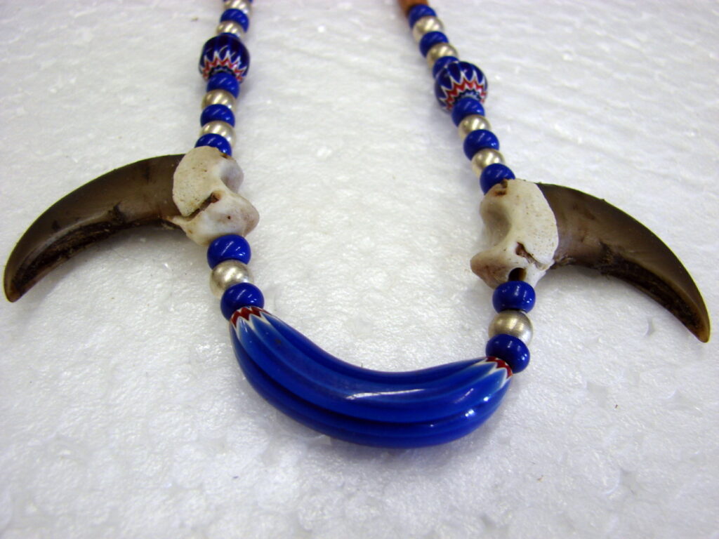 Authentic Native American Indian Ojibwe Real Bear Claw Knuckle Glass