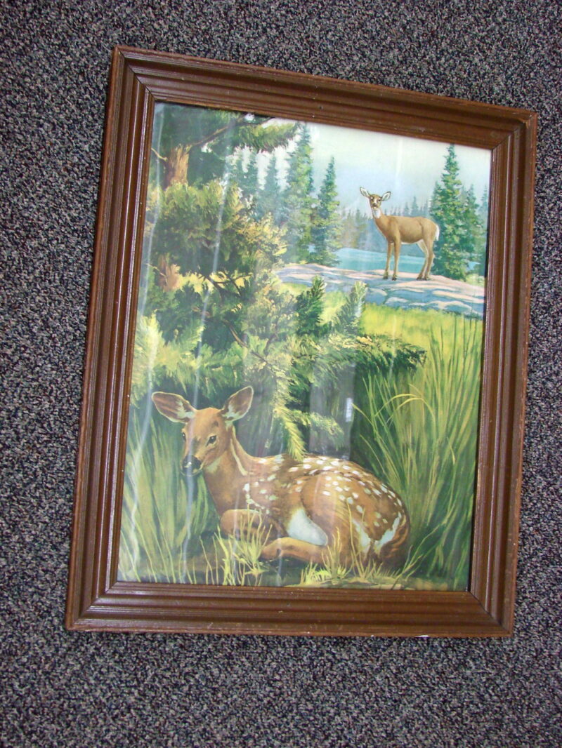 Vintage August Holland Whitetail Deer Fawn Always Alert Framed Print, Moose-R-Us.Com Log Cabin Decor