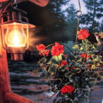 Framed Matted Artwork Sweet Attraction Log Cabin Hummingbird Darrell Bush