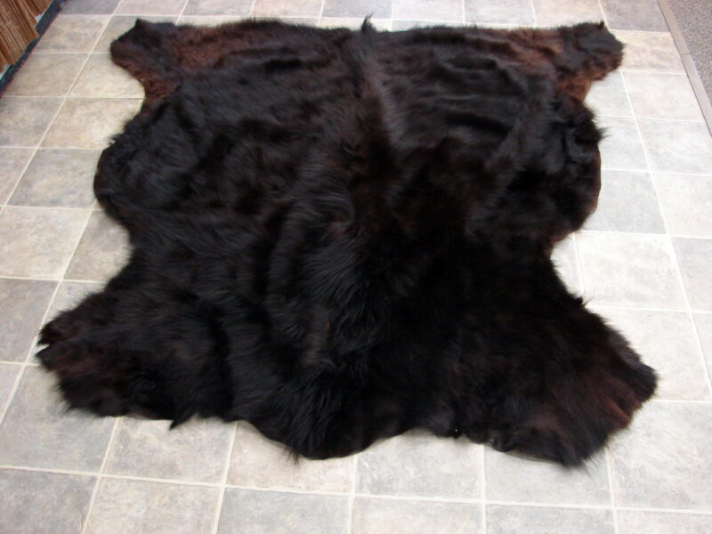 Real Black Bear Fur Tanned Taxidermy Hide Pelt Throw 68 x 64 Craft