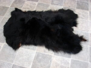 Real Black Bear Soft Shiny Taxidermy Hide Pelt Fur Craft 50 x 30