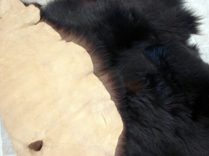 Real Black Bear Soft Shiny Taxidermy Hide Pelt Fur Craft 50 x 30, Moose-R-Us.Com Log Cabin Decor