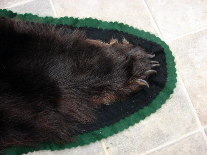 Real Black Bear Rug Taxidermy Hide Pelt Fur Black Forest Green Felt Open Mouth, Moose-R-Us.Com Log Cabin Decor