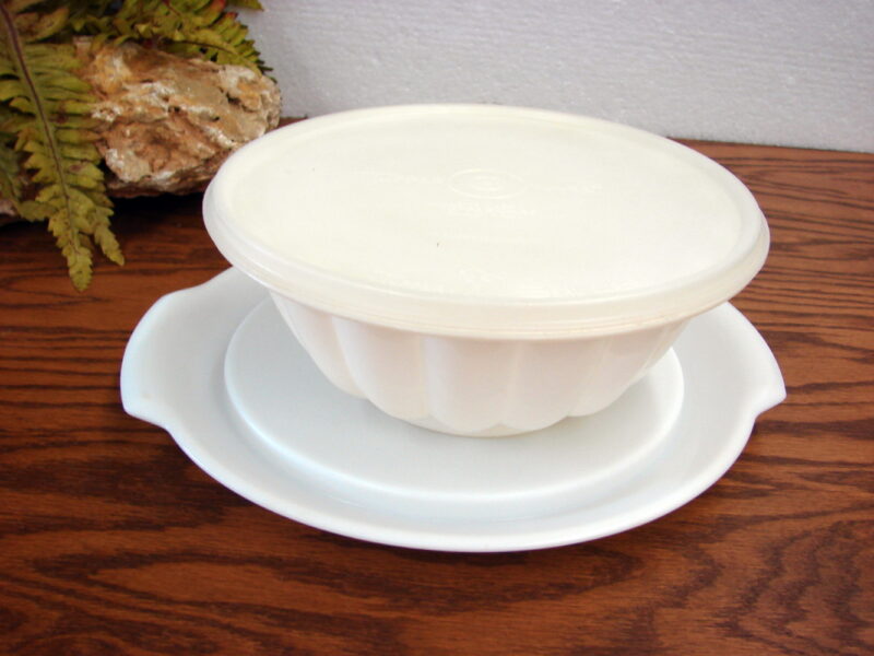 Vintage Tupperware 1970&#8217;s 7 Pc Jel-N-Serve Jello Mold Platter Lid Caps Inserts, Moose-R-Us.Com Log Cabin Decor