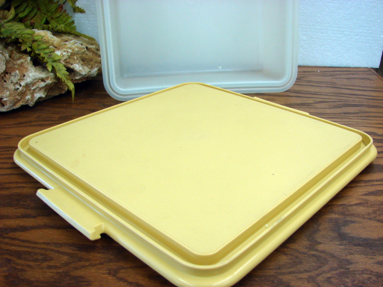 Vintage Tupperware Cake Storage Container USA -  in 2023