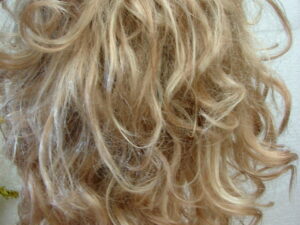 Jon Renau Flexlite Champagne Blonde Soft Subtle Wig Like New in Box/Tags